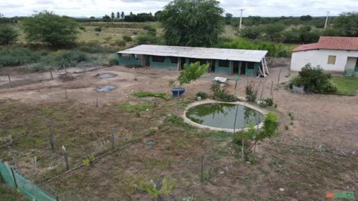 Fazenda de frutas