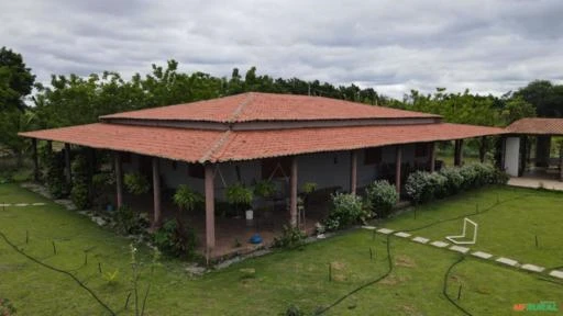 Fazenda de frutas