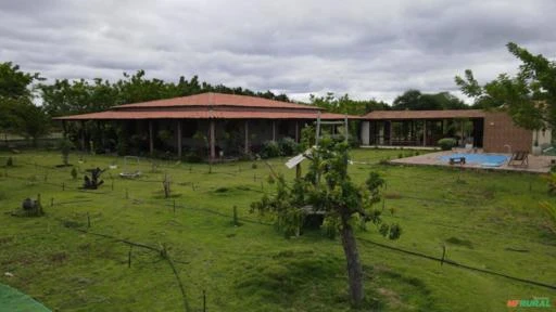 Fazenda de frutas