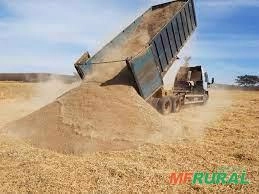 Cama de Frango Imagem Cama de Frango