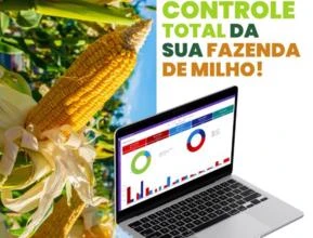 Sistema Agrícola para Milho - Produtor Online