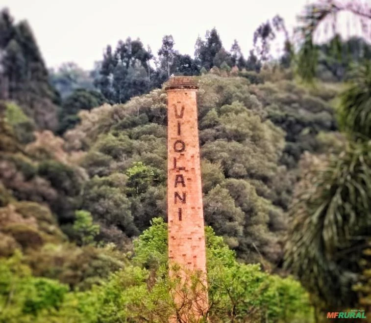 Sericita - Caulim Imagem Sericita - Caulim