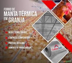 Manta térmica para Forro em Aviários e Granjas Manta térmica para Forro em Aviários e Granjas
