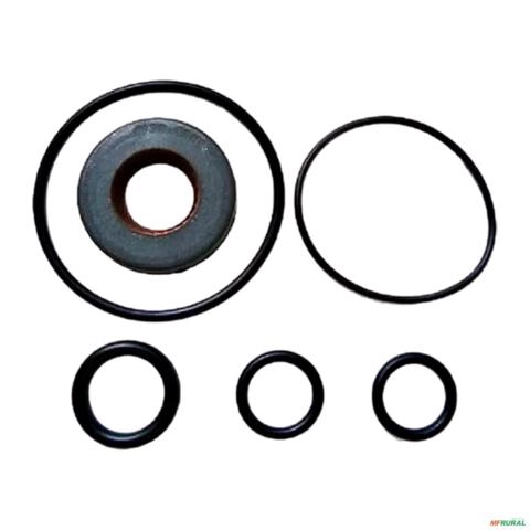 Imagem Reparo Bomba de Direção Hidráulica Golf/ Passat/ Clio/ 206/ Bora/ Citroen/ XSara/ Picasso/ Jeep Grand Cherokee/ BBA TC 17MM Imagem Reparo Bomba de Direção Hidráulica Golf/ Passat/ Clio/ 206/ Bora/ Citroen/ XSara/ Picasso/ Jeep Grand Cherokee/ BBA TC 17MM