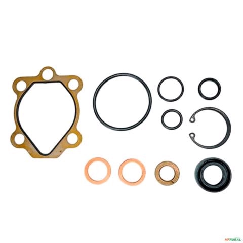 Imagem Reparo da Bomba de Direção Hidráulica L200/ L300/ KIA BESTA/ ASIA TOPIC/ NISSAN SENTRA 89 a 94/ MAXIMA 86 a 93/ 300ZX 87 a 89/ FRONTIER Imagem Reparo da Bomba de Direção Hidráulica L200/ L300/ KIA BESTA/ ASIA TOPIC/ NISSAN SENTRA 89 a 94/ MAXIMA 86 a 93/ 300ZX 87 a 89/ FRONTIER