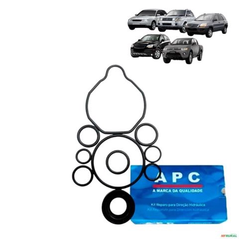 Reparo Bomba Direção Hidráulica Volkswagen Golf / Audi A3 / Hyundai Tucson / Kia Sportage / Chevrolet Captiva / Mitsubishi Lancer / Mitsubishi Triton Imagem Reparo Bomba Direção Hidráulica Volkswagen Golf / Audi A3 / Hyundai Tucson / Kia Sportage / Chevrolet Captiva / Mitsubishi Lancer / Mitsubishi Triton