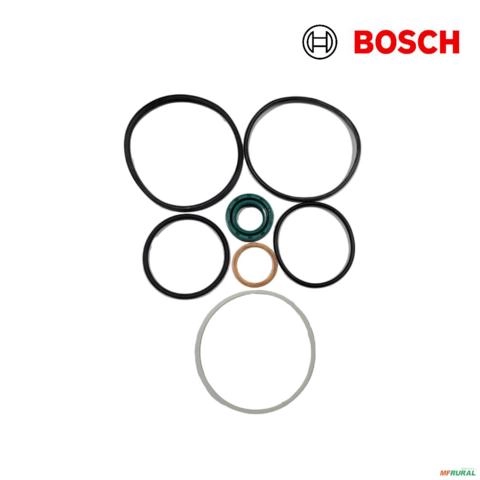 Reparo Bomba Hidraulica Bosch Zf 7673/7674 3073698208742 Imagem Reparo Bomba Hidraulica Bosch Zf 7673/7674 3073698208742
