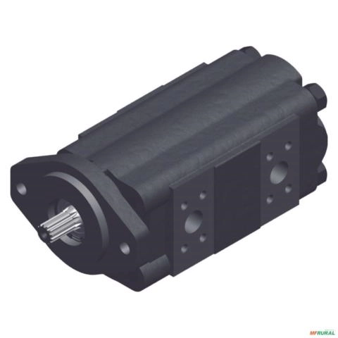 Bomba Dupla Engrenagem Carregador Florestal Medal B330H13C Imagem Bomba Dupla Engrenagem Carregador Florestal Medal B330H13C