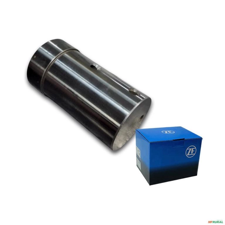 PIno do Planetário Imagem PIno do Planetário