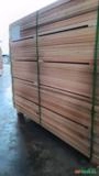 MADEIRA DE EUCALITO PARA EMBALAGEM Imagem MADEIRA DE EUCALITO PARA EMBALAGEM
