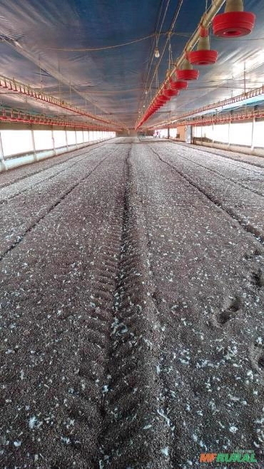 Cama de Frango Imagem Cama de Frango