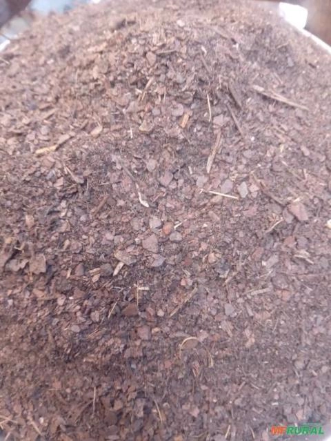 Subistrato pinus omi-x Imagem Subistrato pinus omi-x