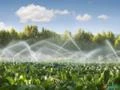 Sistema automatizado para irrigação