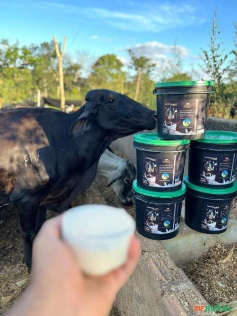 LactoNutri - Suplemento Inovador para Vacas de Leite