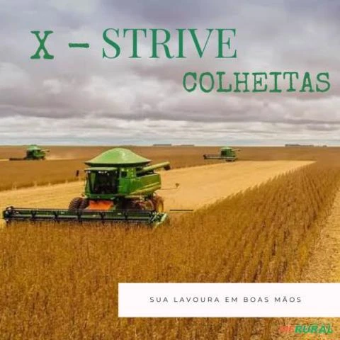 X - STRIVE COLHEITAS