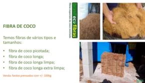 Fibra de Coco