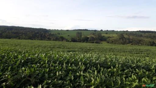 Fazenda para agricultura em Goiás