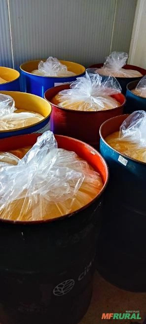 Imagem Polpa de maracujá Imagem Polpa de maracujá