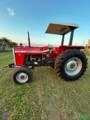 Vende-se Massey Ferguson 275 (4x2) 75cv - Ano 1991 Imagem Vende-se Massey Ferguson 275 (4x2) 75cv - Ano 1991