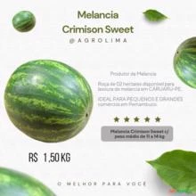 Melancia  Crimison Sweet