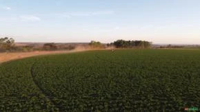 Serviço de pulverização agrícola com drones