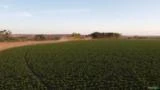 Serviço de pulverização agrícola com drones