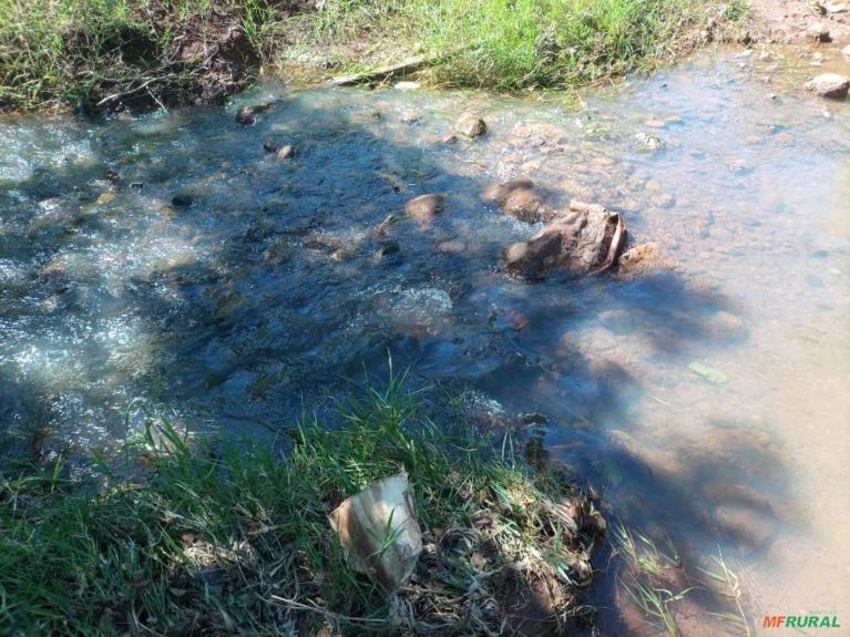 Sitio 2.5 alqueires  6 hectares todo formado em pastagem pego camionete no negocio