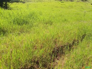 Sitio 2.5 alqueires  6 hectares todo formado em pastagem pego camionete no negocio