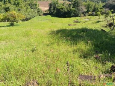 Sitio 2.5 alqueires  6 hectares todo formado em pastagem pego camionete no negocio