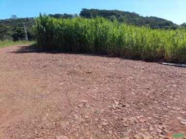 Sitio 2.5 alqueires  6 hectares todo formado em pastagem pego camionete no negocio