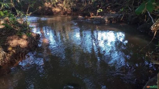 Sitio 2.5 alqueires  6 hectares todo formado em pastagem pego camionete no negocio