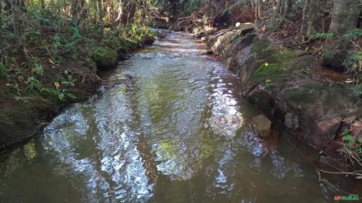 Sitio 2.5 alqueires  6 hectares todo formado em pastagem pego camionete no negocio