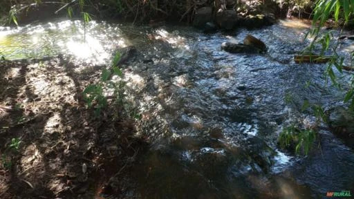 Sitio 2.5 alqueires  6 hectares todo formado em pastagem pego camionete no negocio