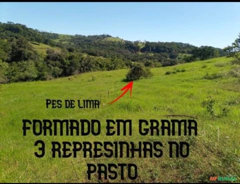 Sitio 2.5 alqueires  6 hectares todo formado em pastagem pego camionete no negocio