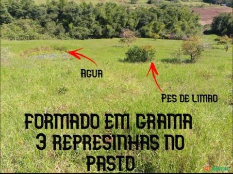 Sitio 2.5 alqueires  6 hectares todo formado em pastagem pego camionete no negocio