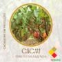 CACAU DIRETO DA FAZENDA Imagem CACAU DIRETO DA FAZENDA