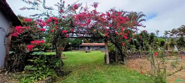 Fazenda para agricultura e fruticultura na Região de Belo Vale e Moeda em MG