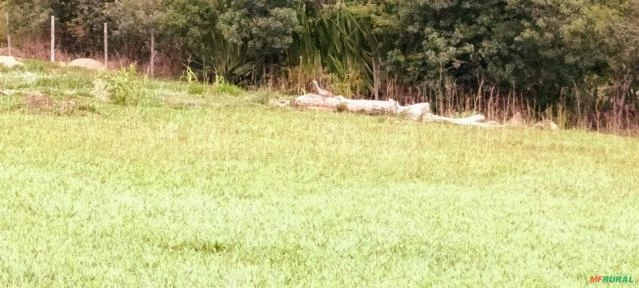 Fazenda para agricultura e fruticultura na Região de Belo Vale e Moeda em MG