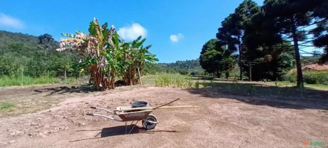 Fazenda para agricultura e fruticultura na Região de Belo Vale e Moeda em MG