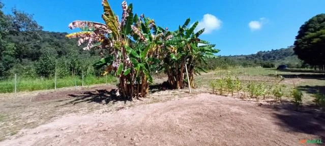 Fazenda para agricultura e fruticultura na Região de Belo Vale e Moeda em MG