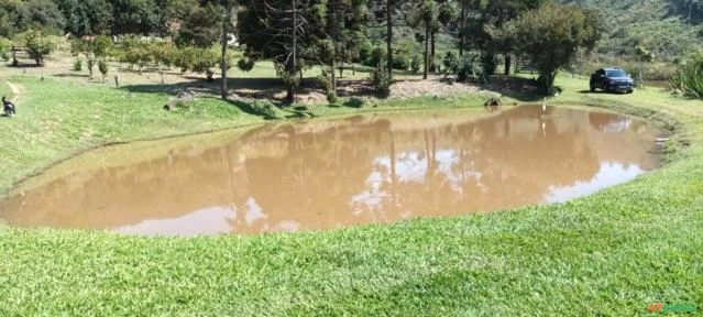 Fazenda para agricultura e fruticultura na Região de Belo Vale e Moeda em MG