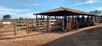 Fazenda para agricultura e pecuária em Caetanópolis - MG