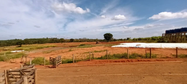 Fazenda para agricultura e pecuária em Caetanópolis - MG