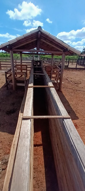 Fazenda para agricultura e pecuária em Caetanópolis - MG