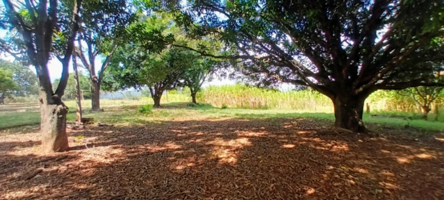 Fazenda para agricultura e pecuária em Caetanópolis - MG