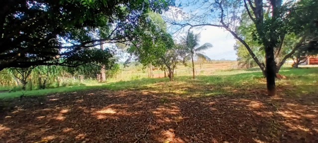 Fazenda para agricultura e pecuária em Caetanópolis - MG