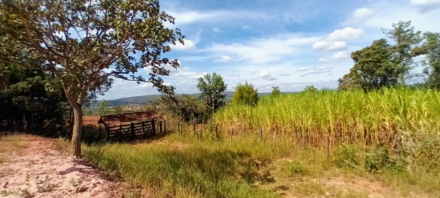 Fazenda para agricultura e pecuária em Caetanópolis - MG