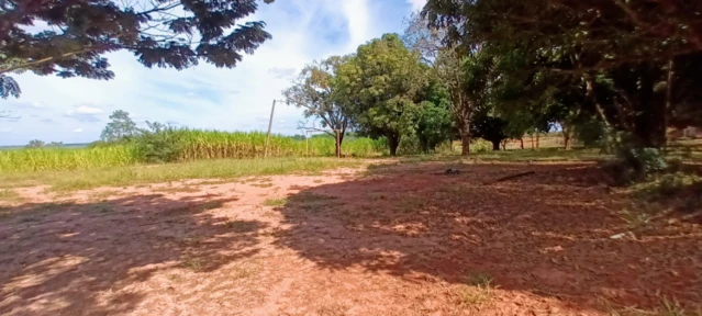 Fazenda para agricultura e pecuária em Caetanópolis - MG