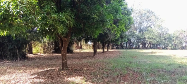 Fazenda para agricultura e pecuária em Caetanópolis - MG