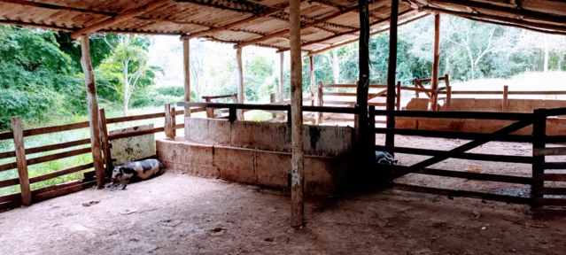 Fazenda para pecuária em Oliveira - MG